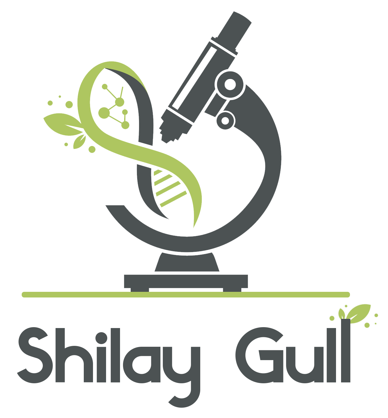 Shilay Gull Logo